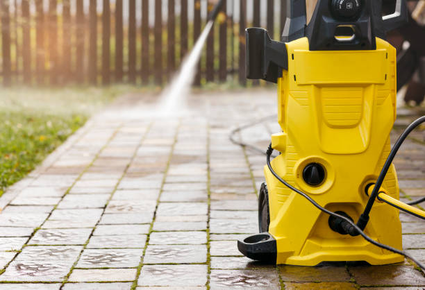 Animal Enclosure Cleaning in West Perrine, FL